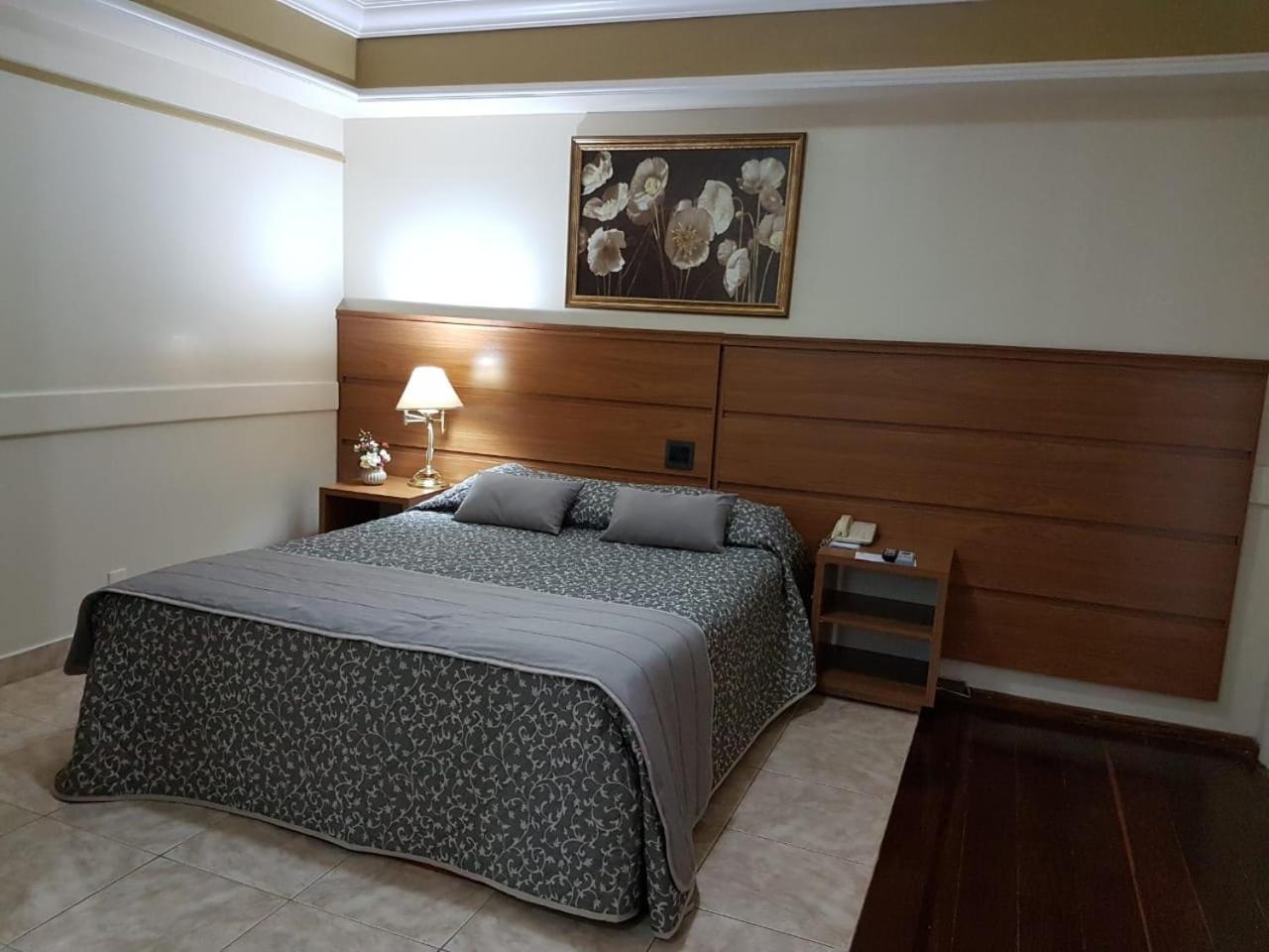 Tamareiras Park Hotel Uberaba Buitenkant foto